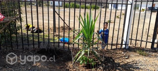 Parcela Con 2 Casas 120mts2, Zapallar 1 Hectárea