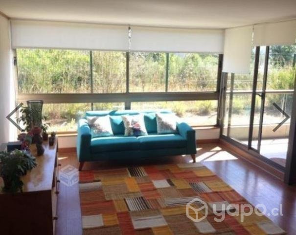 Departamento Lonco Parque Chiguayante