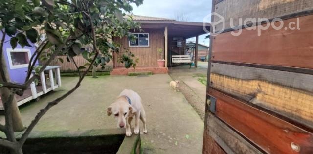  casa, funcional y acogedora 